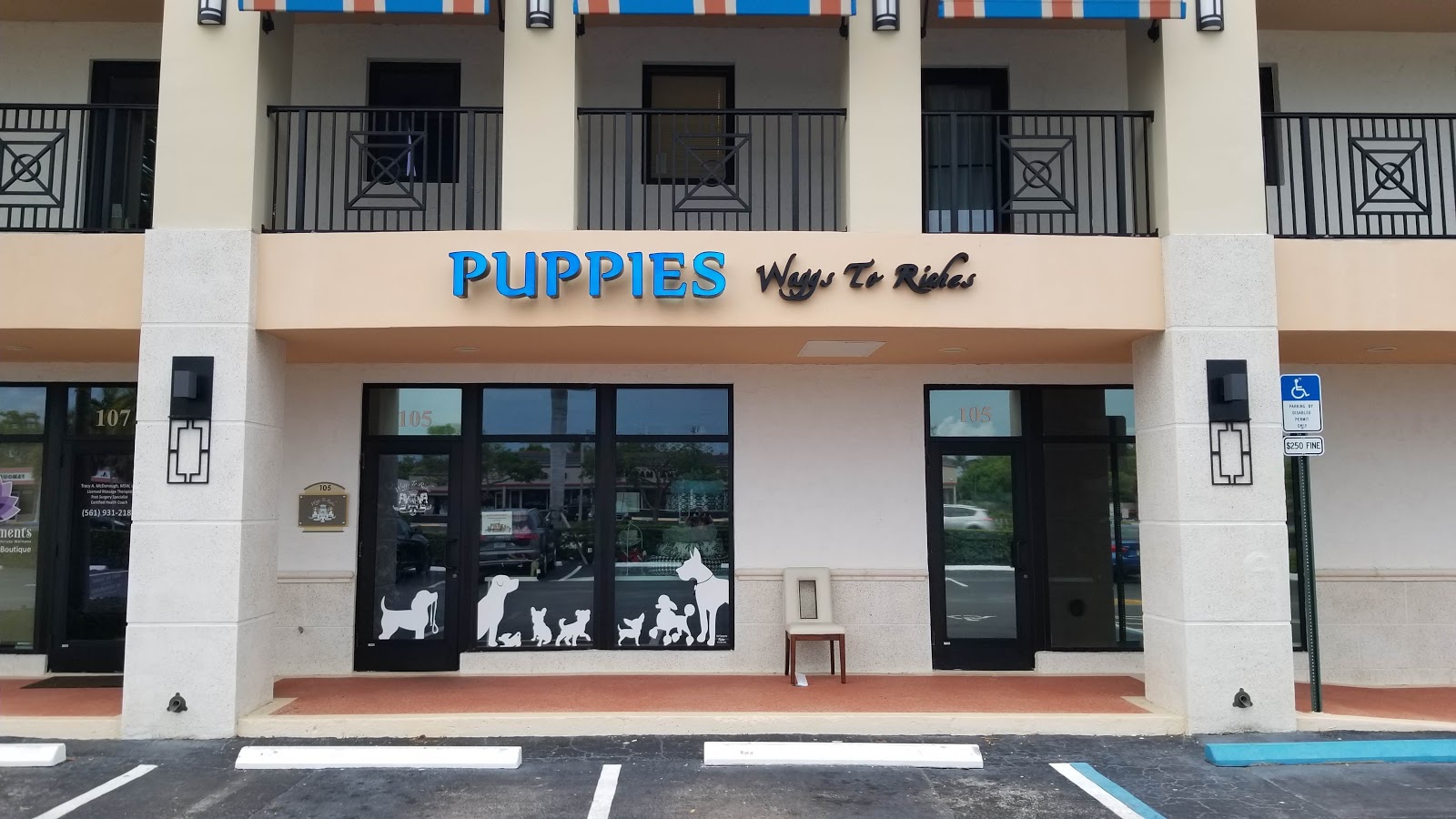 Wags To Riches Boca Raton Florida