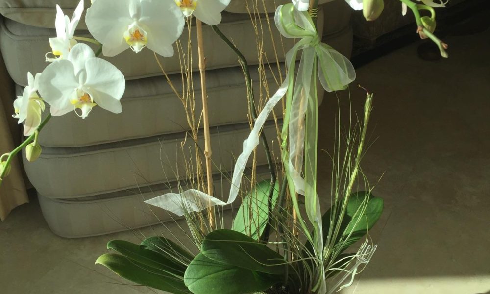 Kimberly's Flowers of Boca Raton