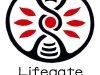 Lifegate Acupuncture, Inc