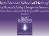 Barbara Brennan School-Healing