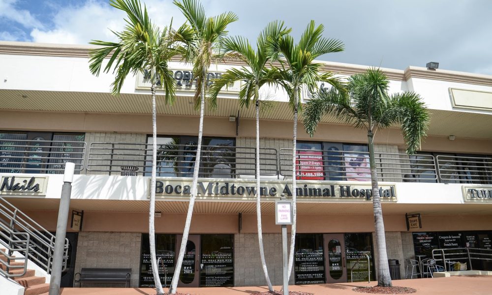 Boca Midtowne Animal Hospital