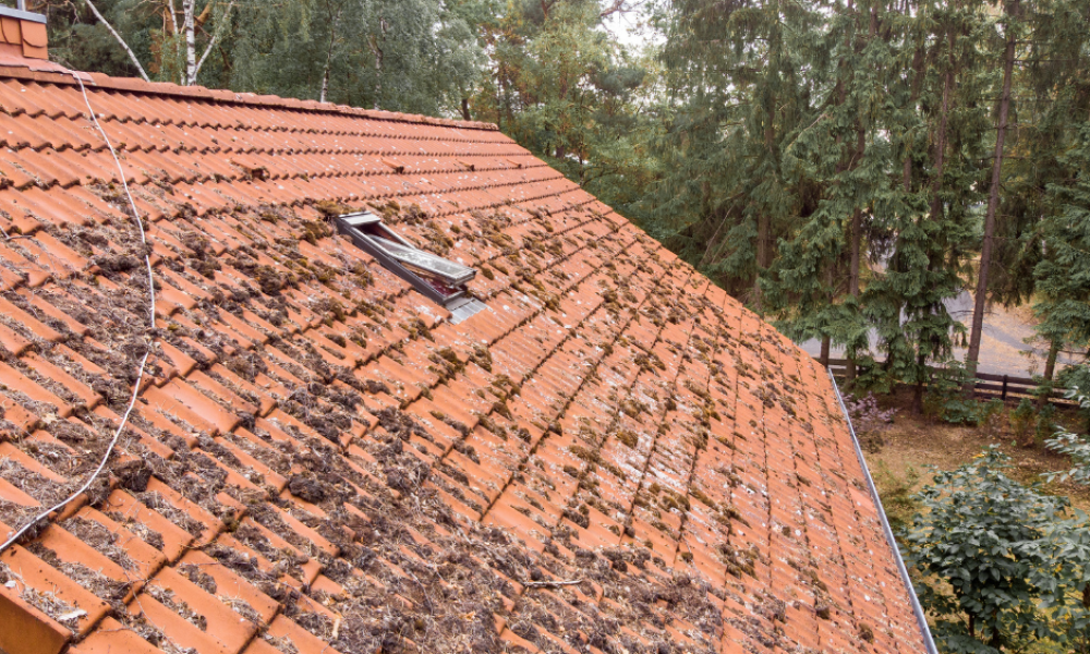 Expert Roofing Contractors - Jacksonville Roofing, Jacksonville Roofing Contractor