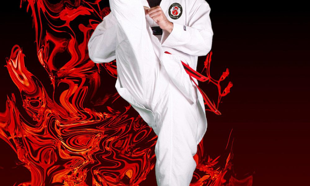 Millennium Martial Arts - Tae Kwon Do