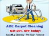 Ace Carpet Cleaning Boca Raton