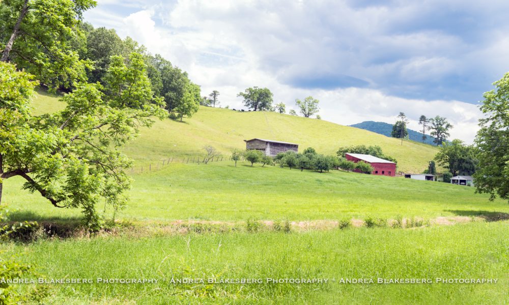 Andrea Blakesberg Photography