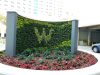 BeeArt GreenWall Expert Corp