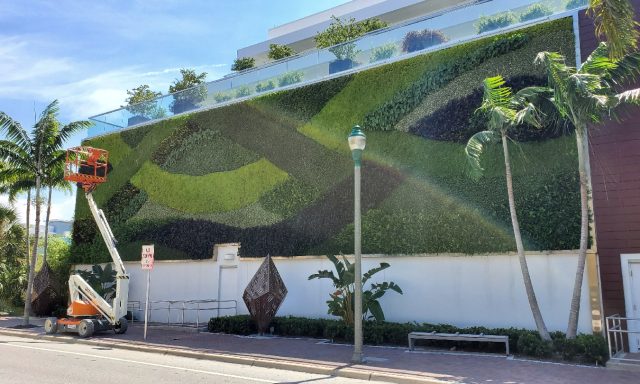 BeeArt GreenWall Expert Corp