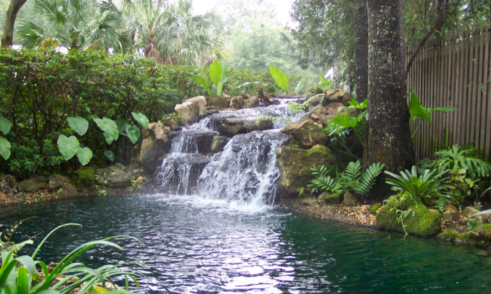 Best Boca Raton Landscaping