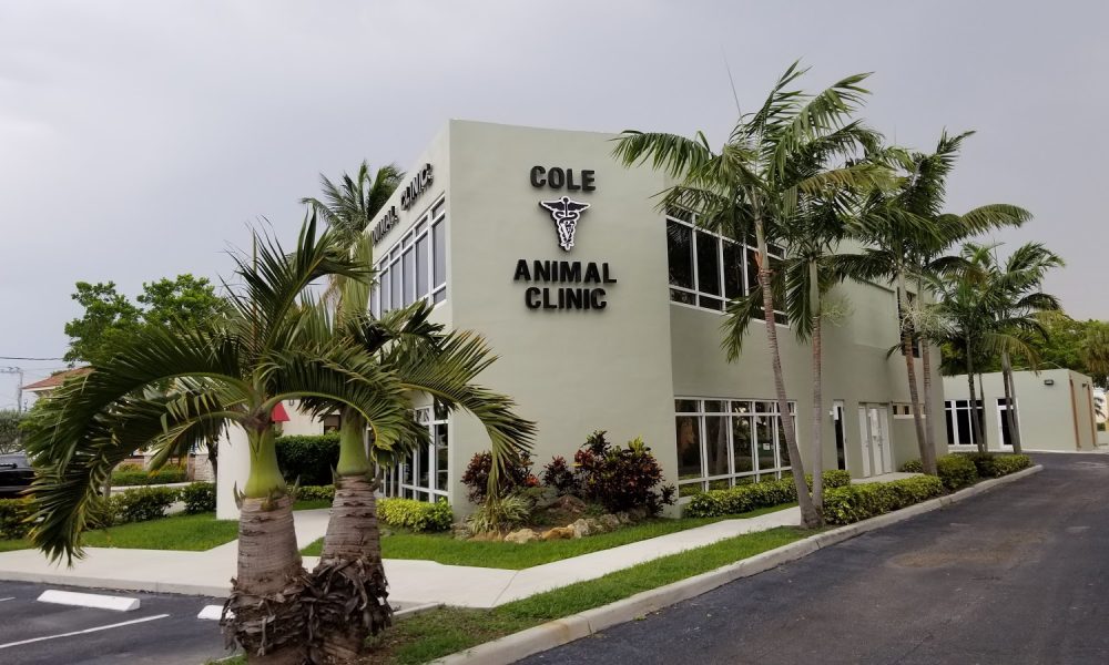 Cole Animal Clinic