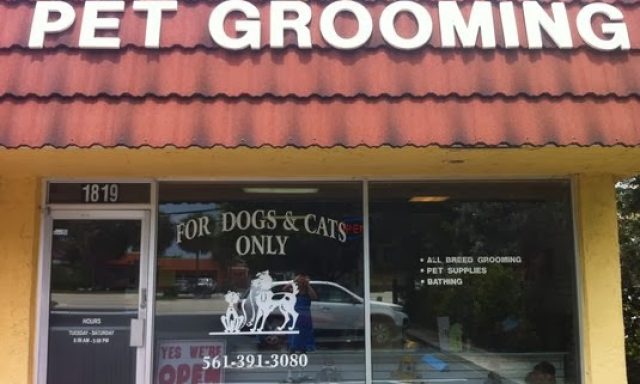 For Dogs and Cats Only Florida