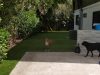 Gator Turf - Artificial Grass and Turf Installation - Boca Raton