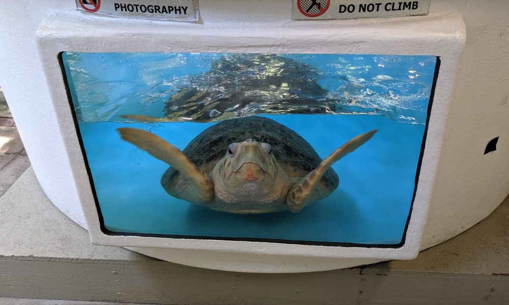 Gumbo Limbo Nature Center