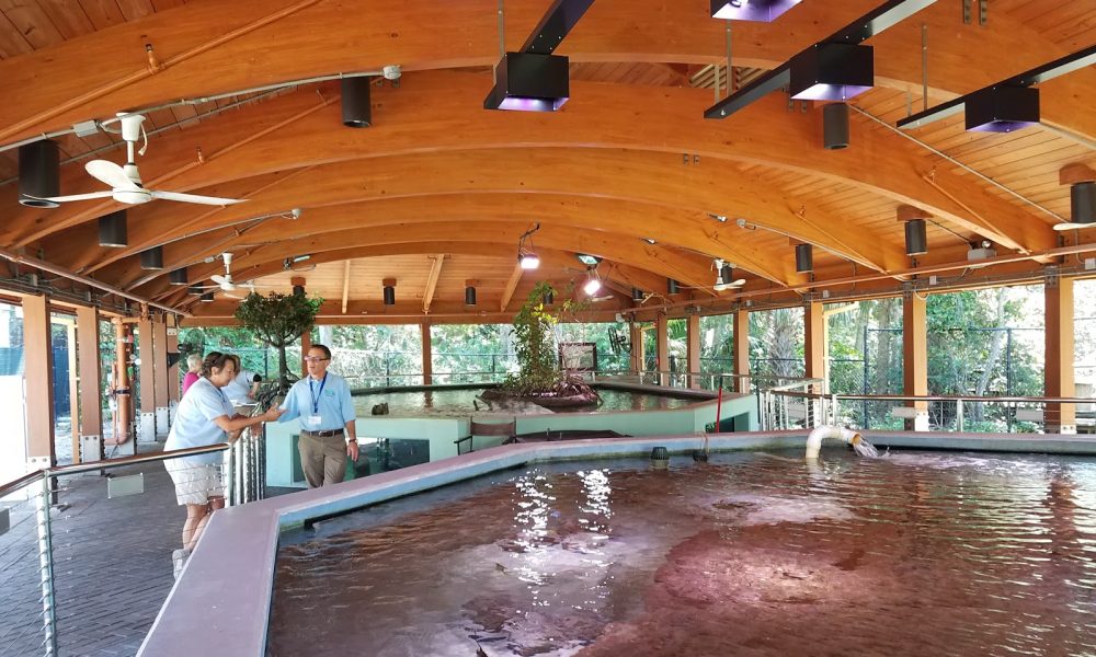 Gumbo Limbo Nature Center