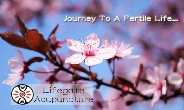 Lifegate Acupuncture, Inc