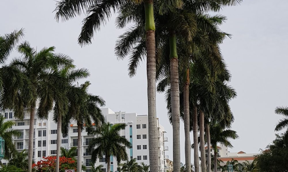 Mizner Park - Garage D