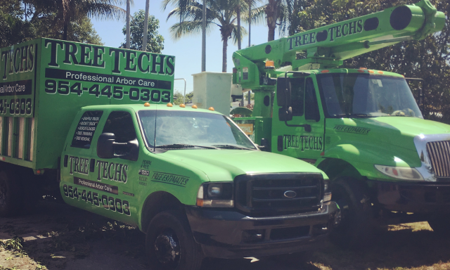 Tree Removal, Trimming Boca | Tree Techs Arbor Care