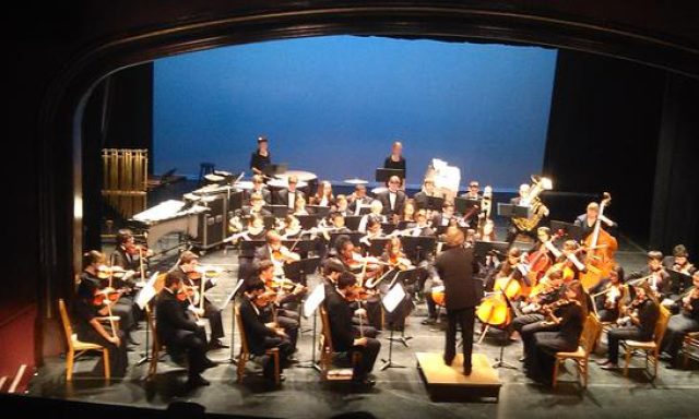 Youth Orchestra of Palm Beach County