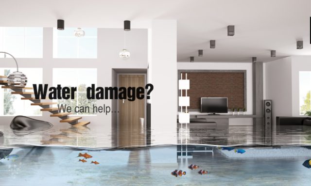 APR Builders Water Removal Mold-Damage.com