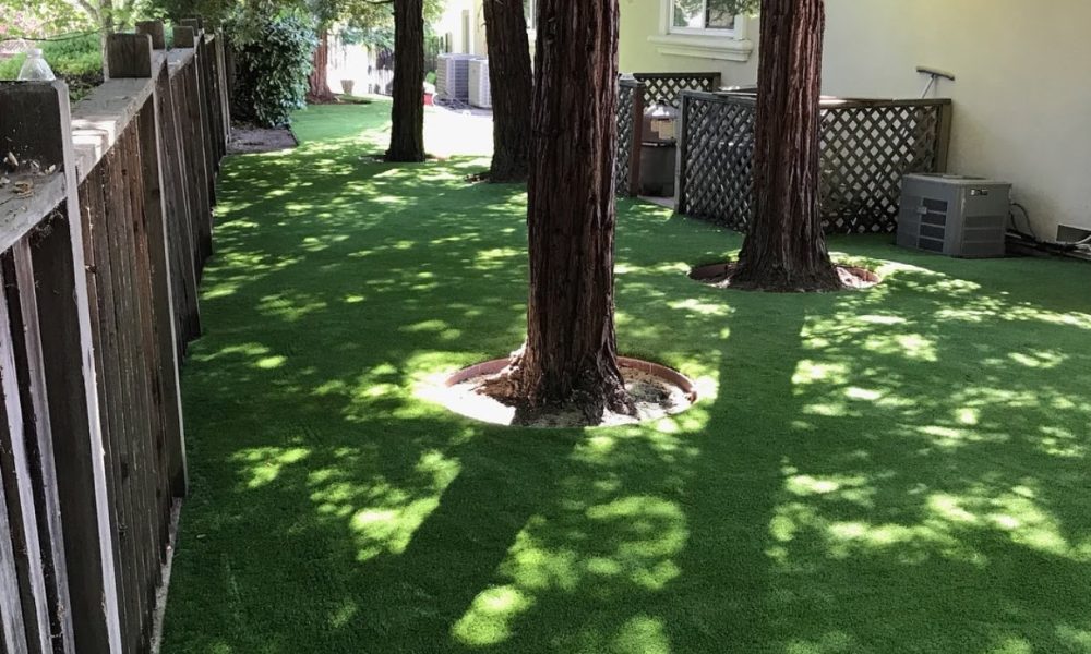 Gator Turf - Artificial Grass and Turf Installation - Boca Raton