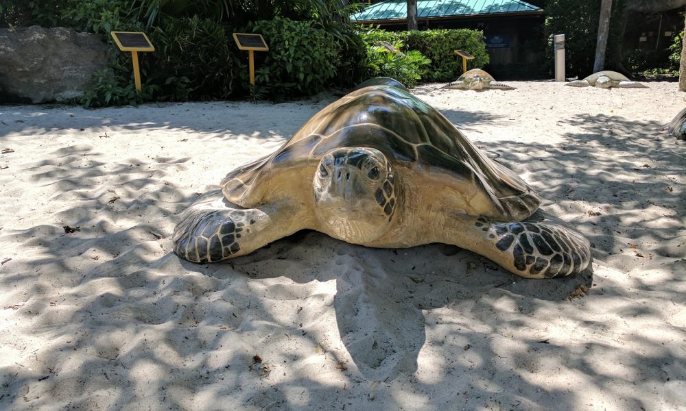 Gumbo Limbo Nature Center