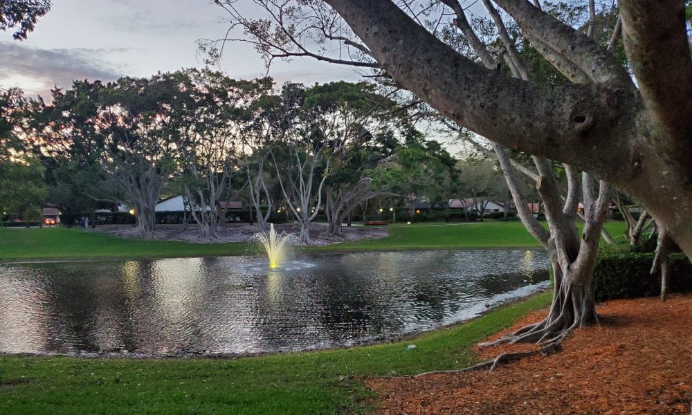 Millpond Main Park