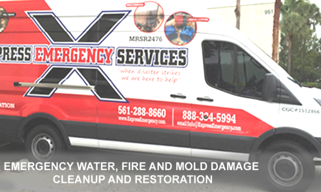 Mold Remediation of Palm Beach County