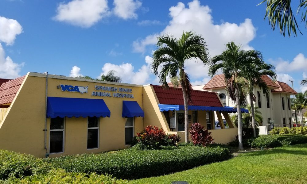 VCA Spanish River Animal Hospital