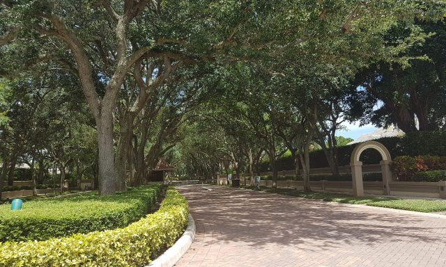 Boca Tierra Park