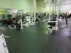 Busy Body Fitness Center Premium