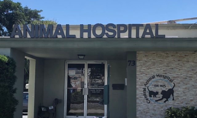 Central Animal Hospital Boca Raton