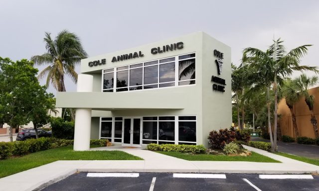 Cole Animal Clinic