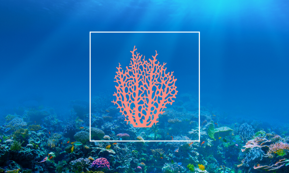 Coral Digital