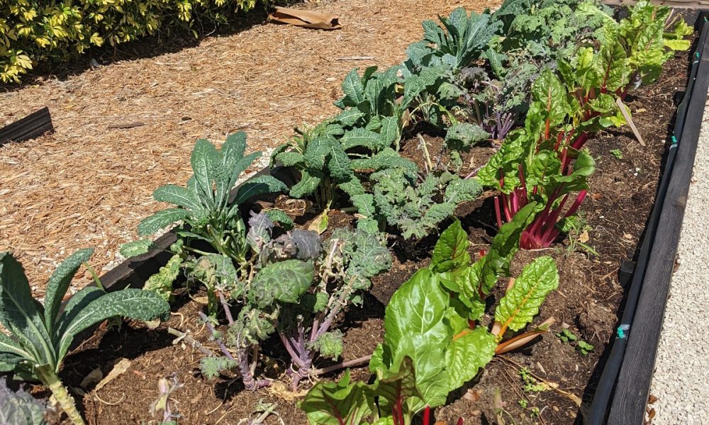 Farmer's Table