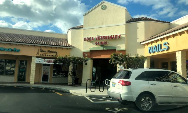 Garden Shops At Boca