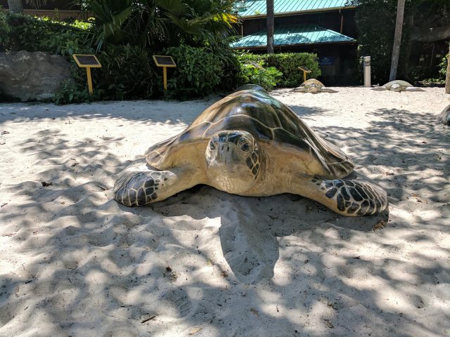 Gumbo Limbo Nature Center