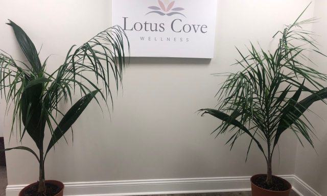 Lotus Cove Wellness