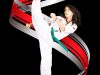 Millennium Martial Arts - Tae Kwon Do