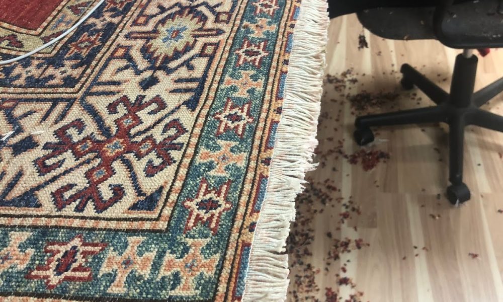 Oriental Rug Care