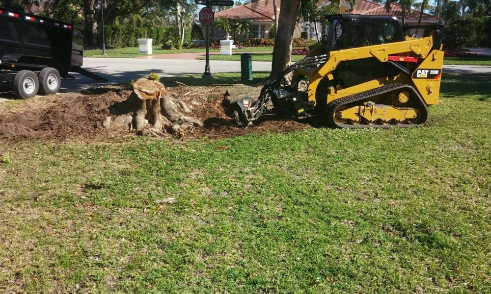 Palm Beach Tree Care