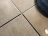 Squeaky Clean Carpet & Tile Cleaning, Inc.