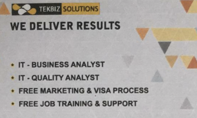 Tekbiz Solutions LLC