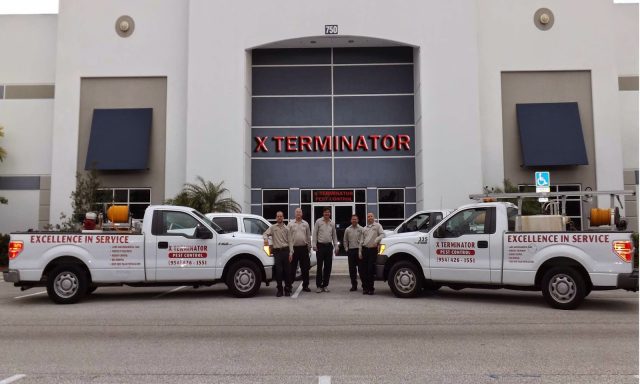 X Terminator Pest Control