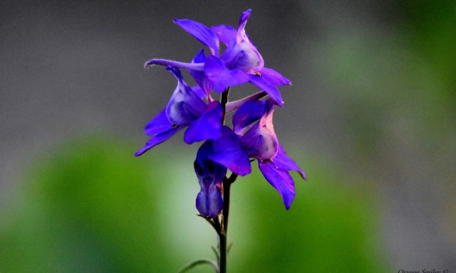 Boca House Sober Living