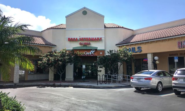 Boca Veterinary Clinic