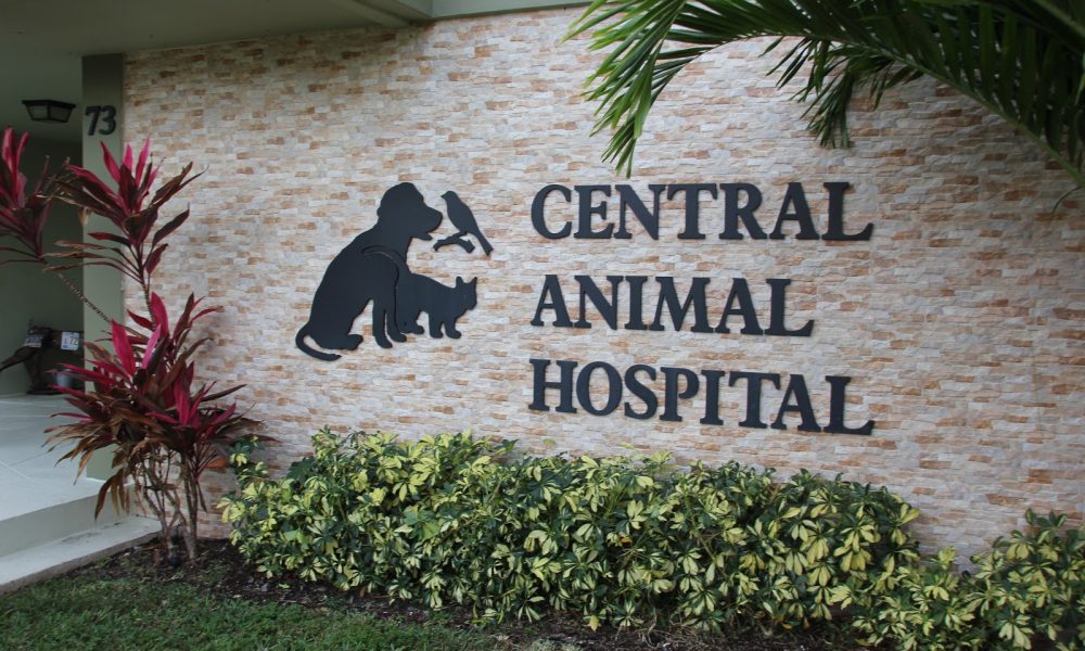 Central Animal Hospital Boca Raton