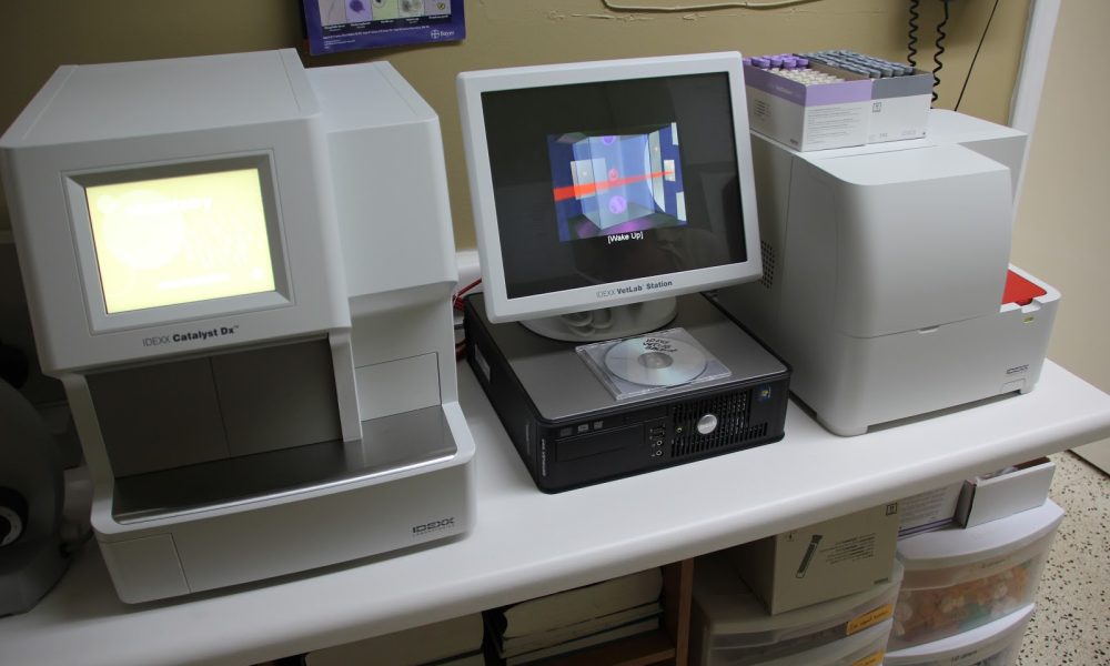 Central Animal Hospital Boca Raton