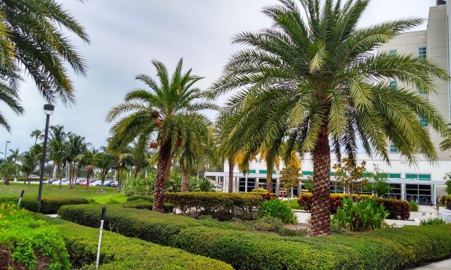 Engineering East, Drop off