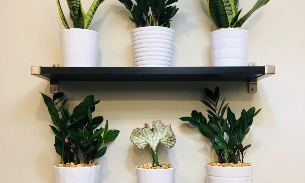 Gustavo's Hair Studio