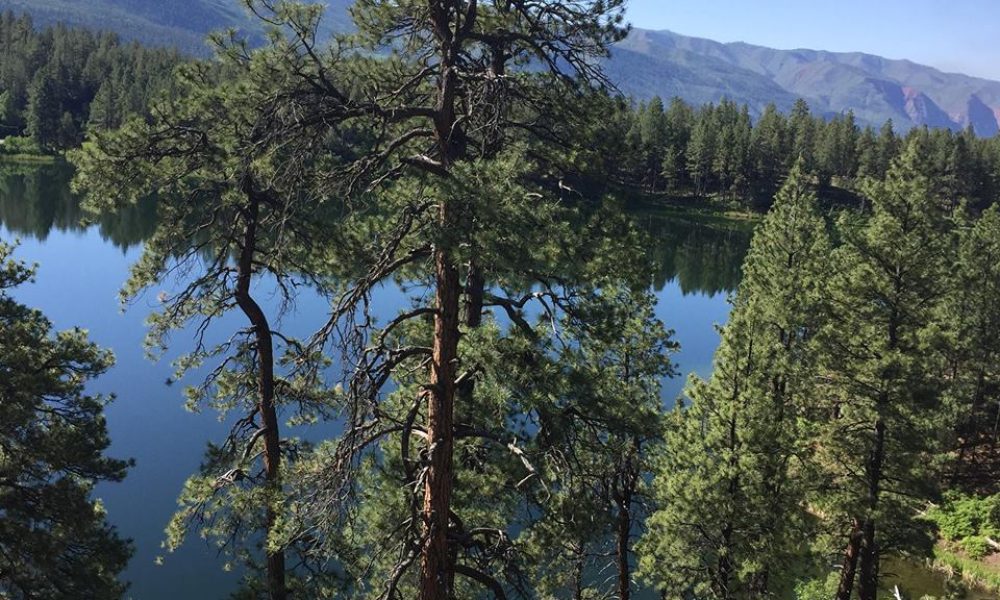 Jody L. Pflanzer LMFT, M Ed.