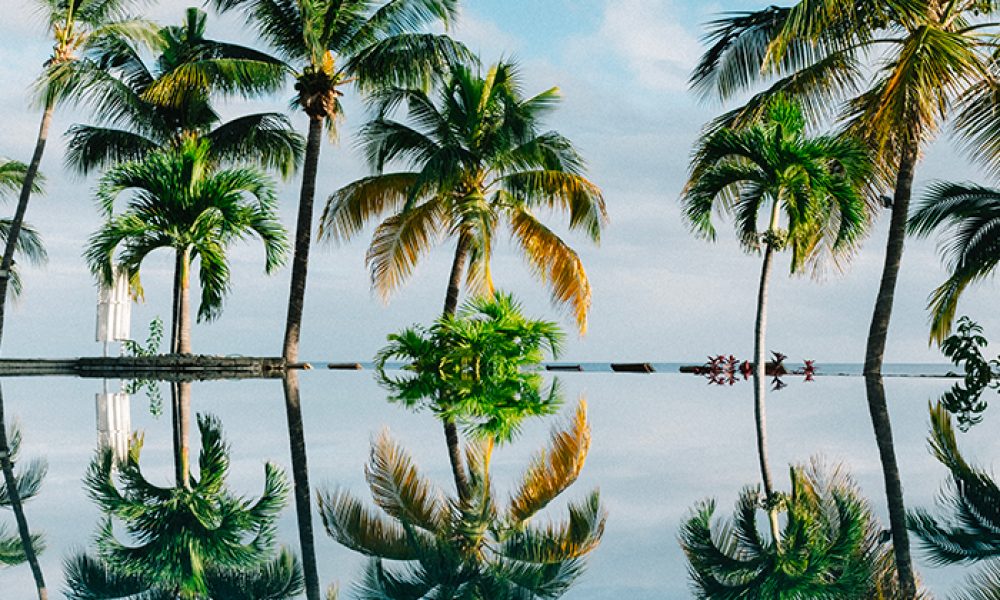 Live Free Psychotherapy LLC